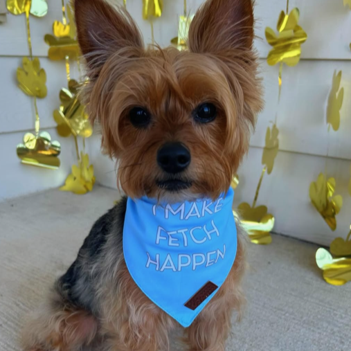 Good Doggo Bandana - 'I Make Fetch Happen' Blue