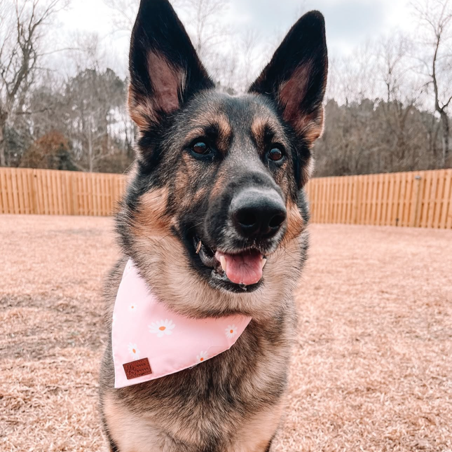 Good Doggo Bandana - Floating Daisies