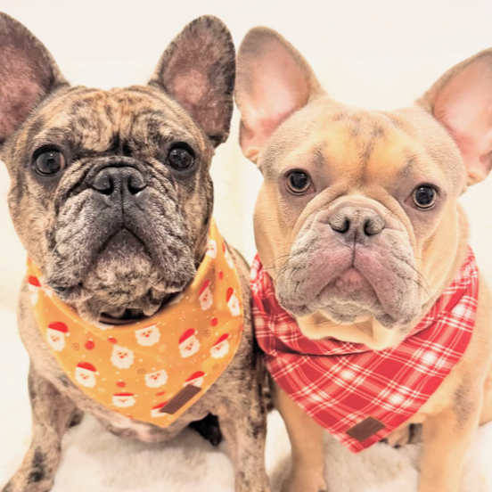 Good Doggo Reversible Bandana - It's Santa