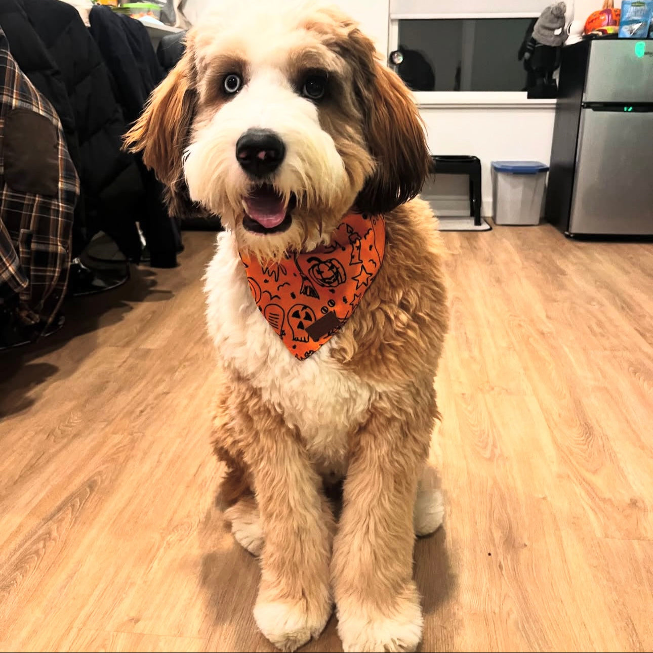 Good Doggo Reversible Bandana - Wicked Halloween