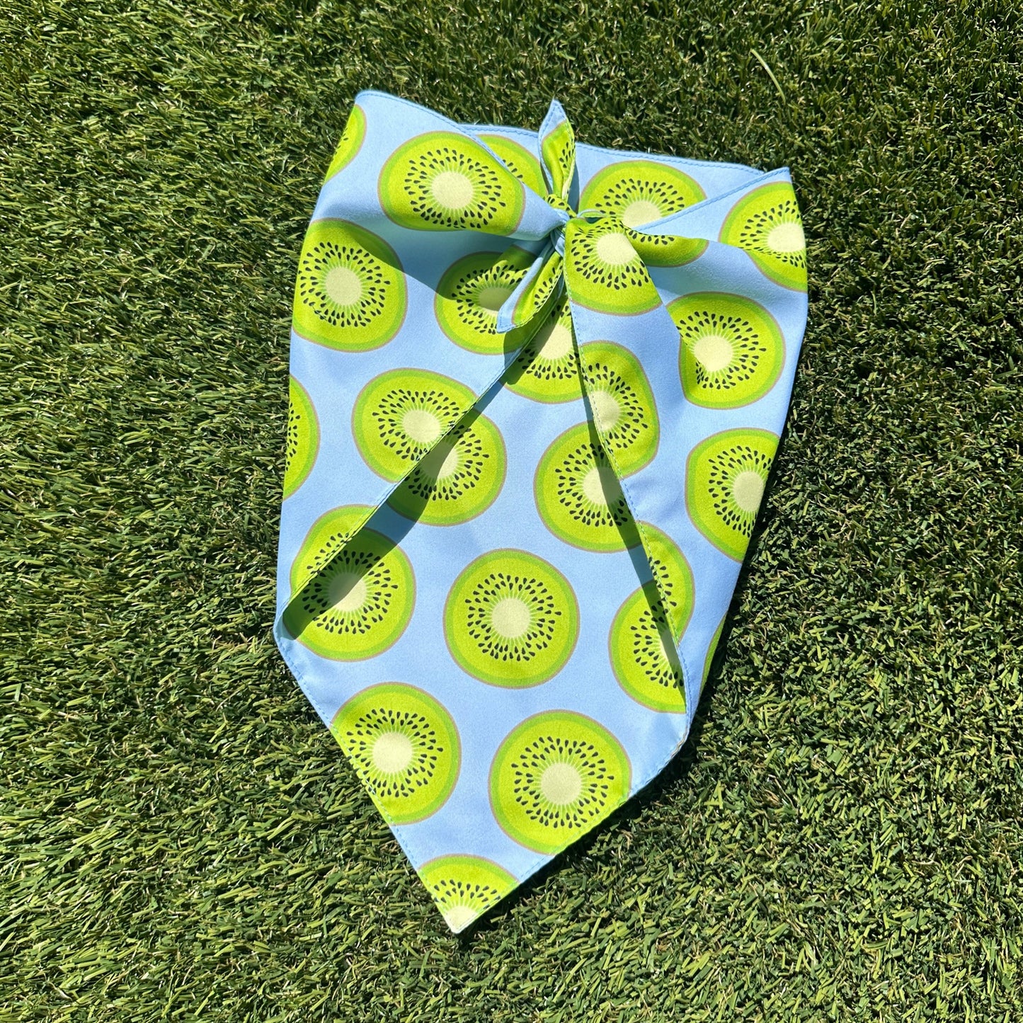 Sweet Kiwi Dog Bandana