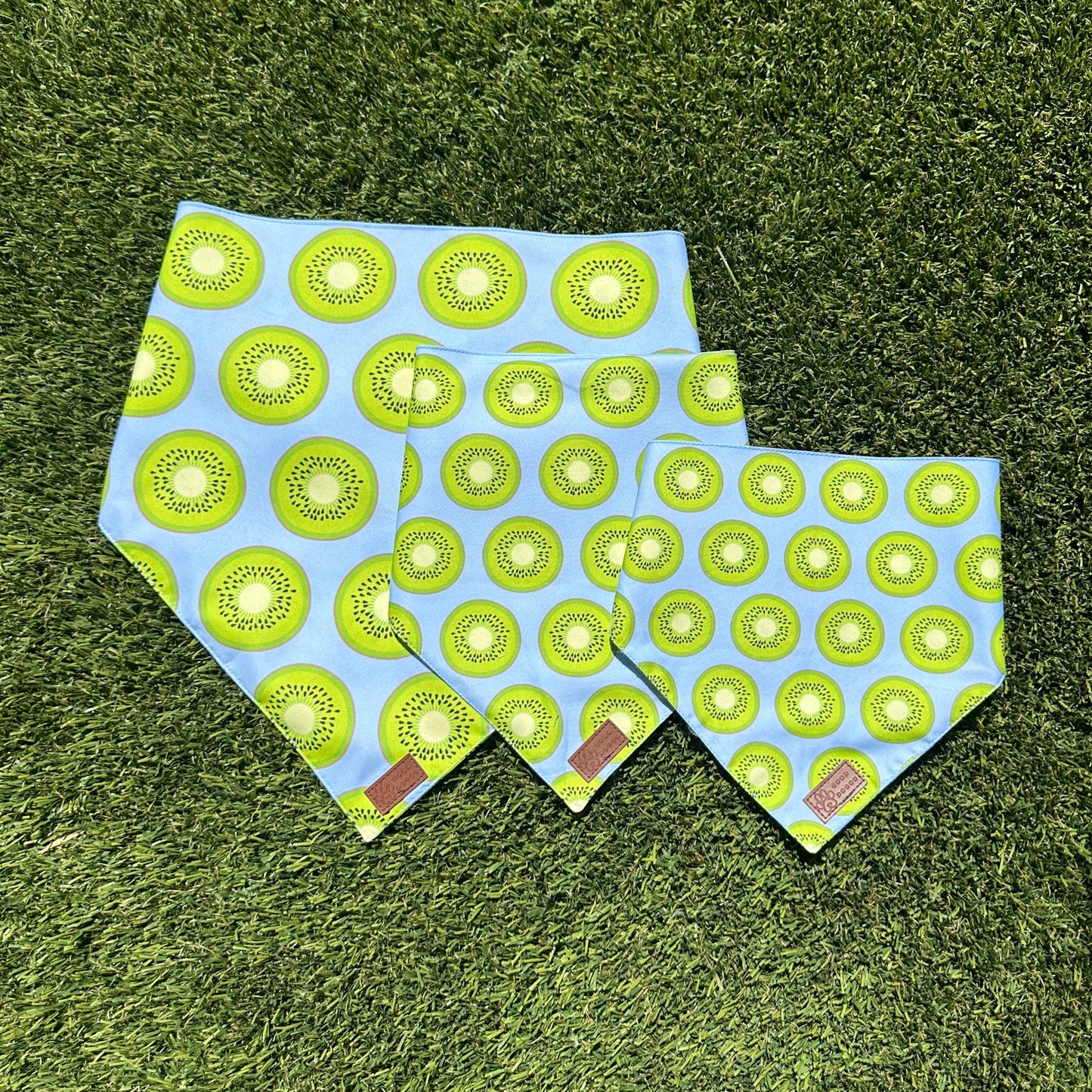 Sweet Kiwi Dog Bandana