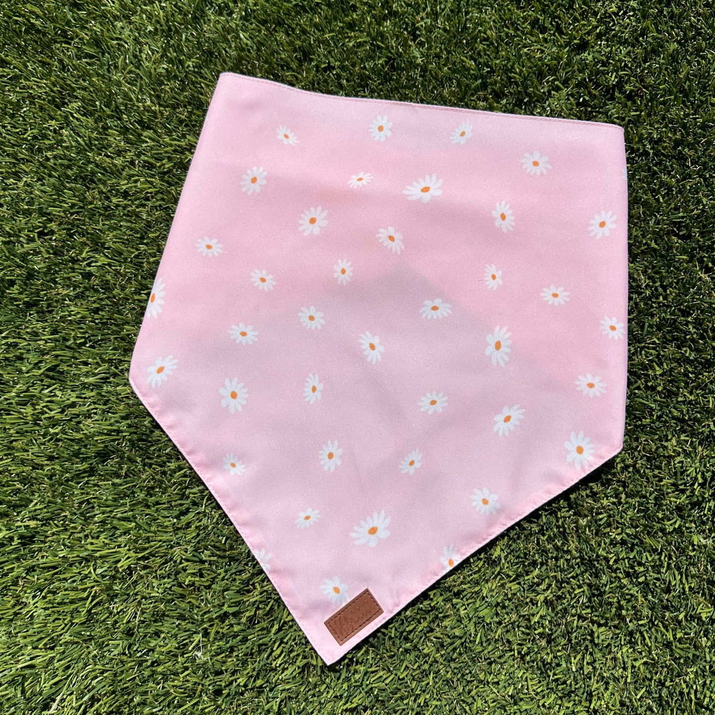 Floating Daisies Dog Bandana