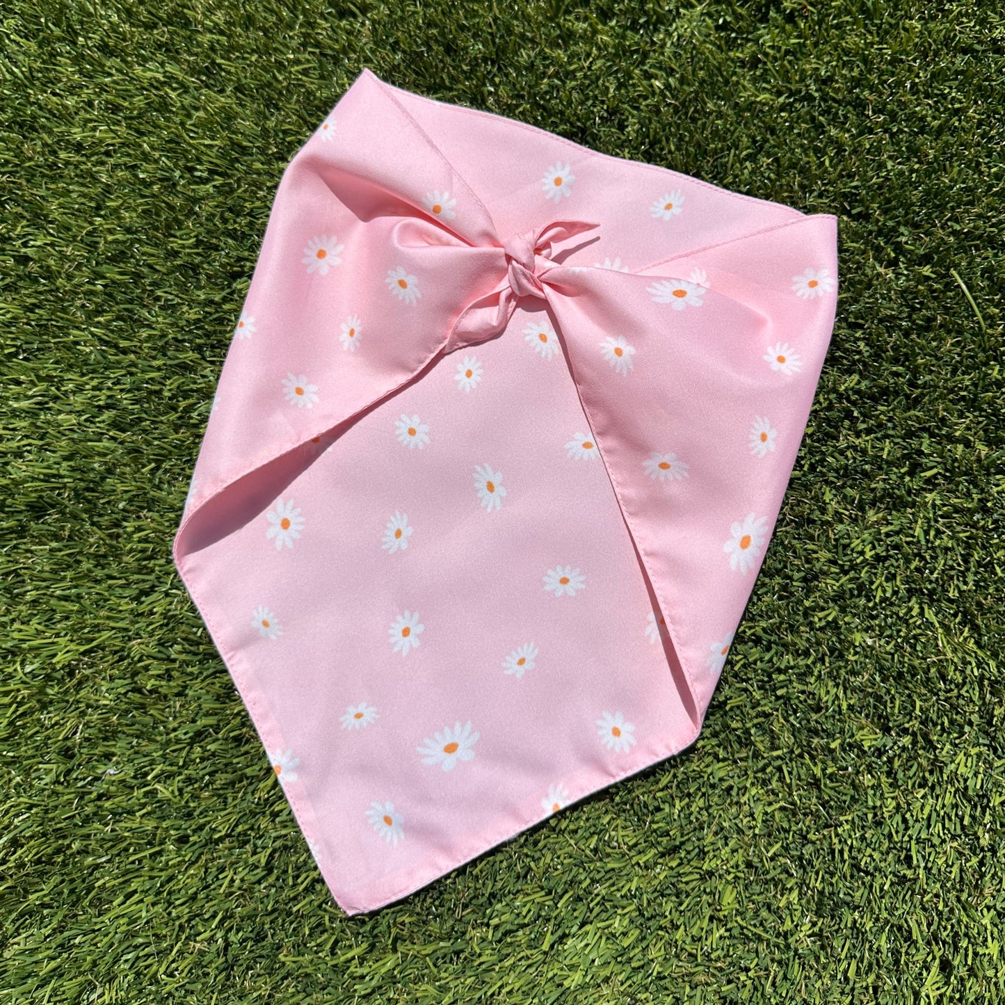 Floating Daisies Dog Bandana