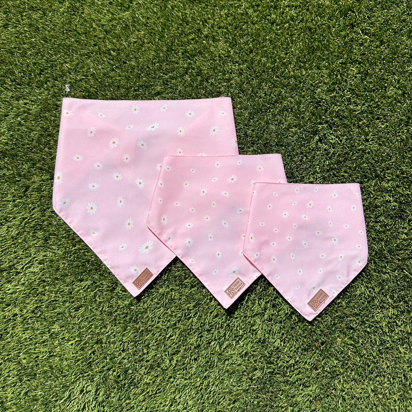 Floating Daisies Dog Bandana