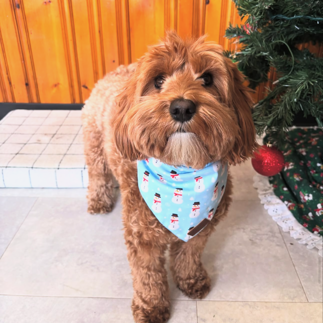 Good Doggo Reversible Bandana - Frosty
