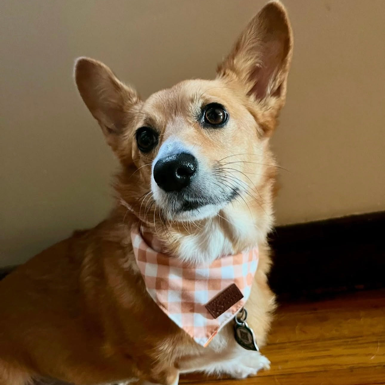 Good Doggo Reversible Bandana - Pumpkins & Plaid