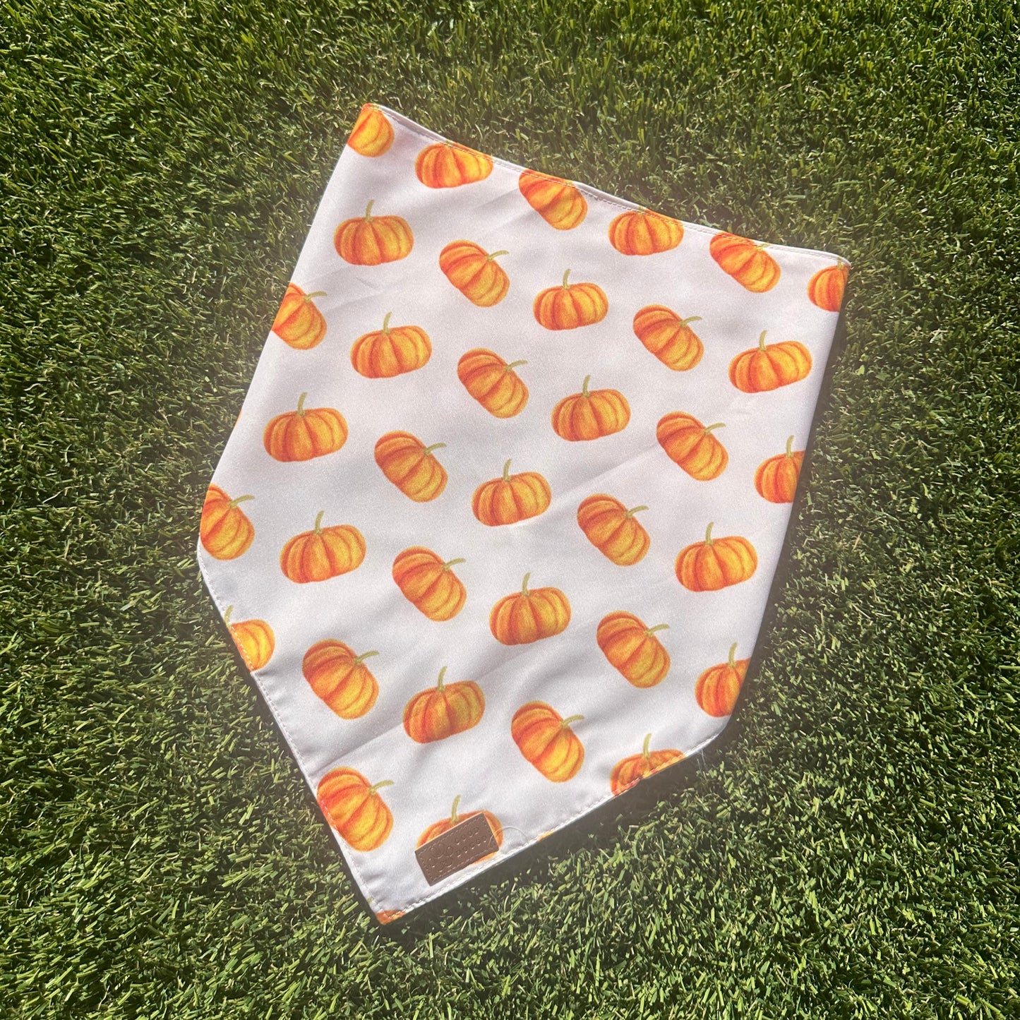 Pumpkin & Plaid Double Sided Dog Bandana