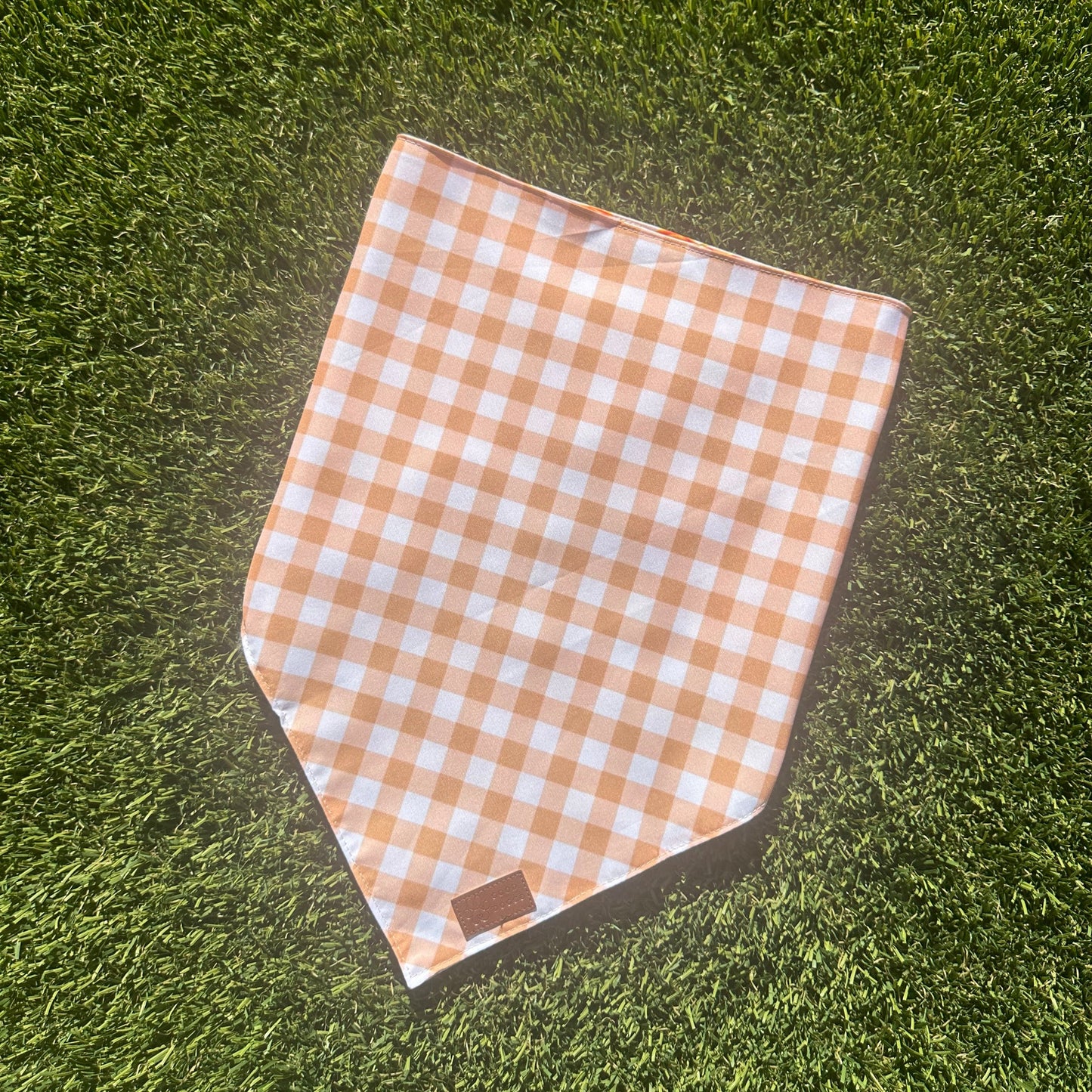 Pumpkin & Plaid Double Sided Dog Bandana